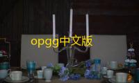 opgg中文版
